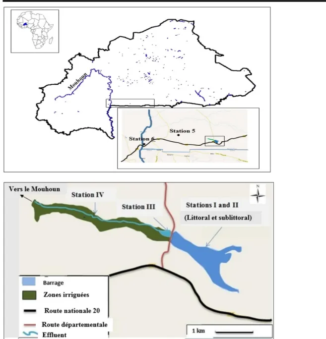 Figure 1 : Localisation des différentes stations d’échantillonnage.  Identification des macroinvertébrés : Les insectes ont 