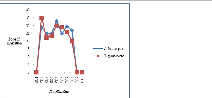 Figure 1: Comparative antibacterial activity of water extracts of Anogeissus leiocarpus and Terminalia glaucescens 
