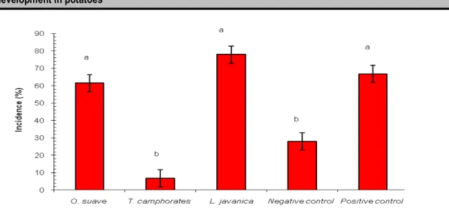 Figure 7: Disease incidence in the greenhouse experiment.  This  confirmed that  application  of  T