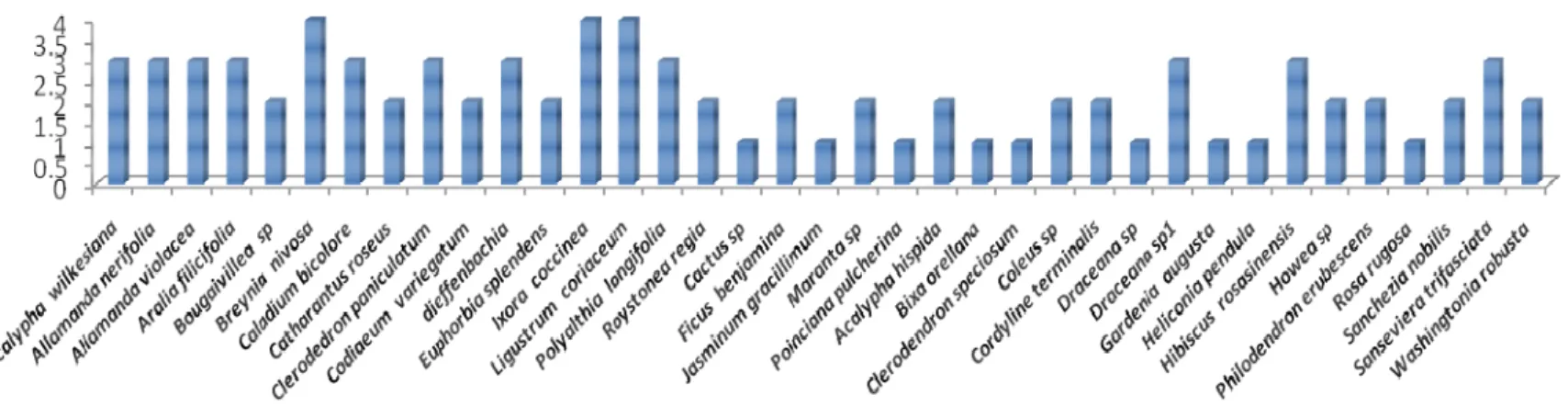 Figure 12 : Histogramme des totaux de citation des espèces ornementales recensées dans les trois sites