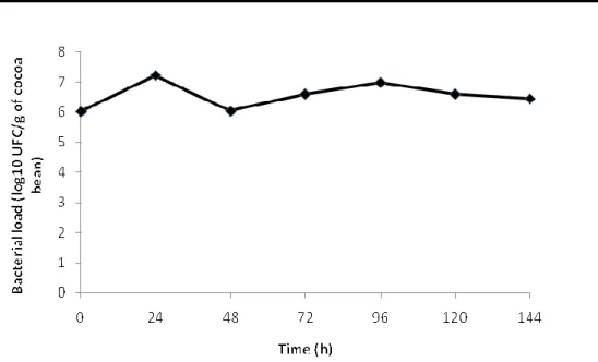 Figure 2: Lactic acid bacteria growth dynamic during cocoa fermentation  Samples  of  fermenting  bean  were  harvested  at  24  h 