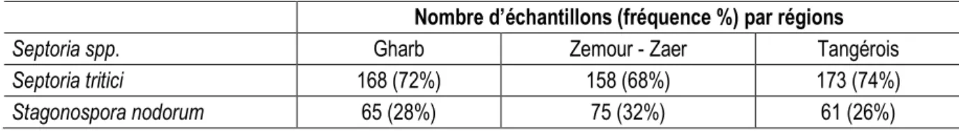 Tableau 3. Fréquences (%) des deux espèces de Septoria au niveau des trois régions céréalières du Maroc en 2012- 2012-2013