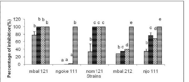 Fig. 4: Effect of ME on growth of P. megakarya strains      Effect  of  aqueous  extract  (AqE)  on  the  growth  of  Phytophthora strains:   AqE was very effective against  the  growth  of  P