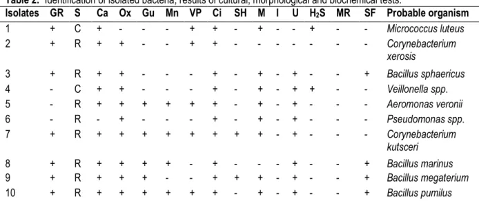 Table 2:  Identification of isolated bacteria; results of cultural, morphological and biochemical tests