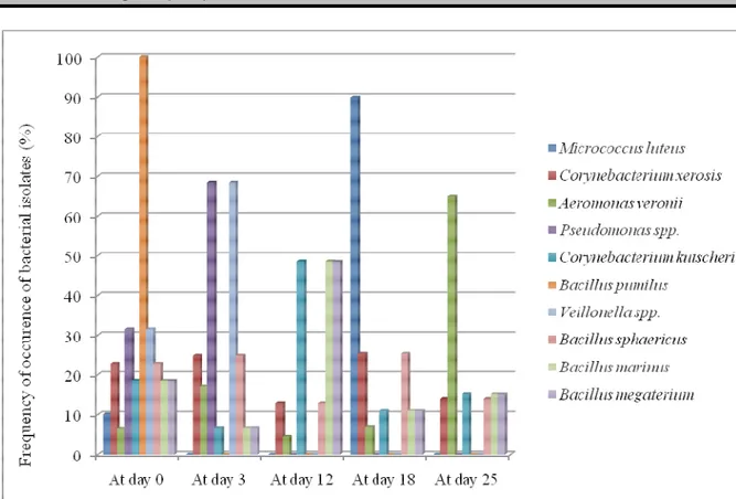Figure 3: Frequency of occurrence of bacterial isolates in Zobo  maintained at 4˚C when sampled on days 0, 3, 12,  18 and 25