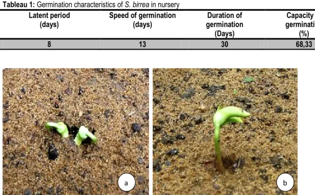 Figure 1: Germination rate evolution of S. birrea  
