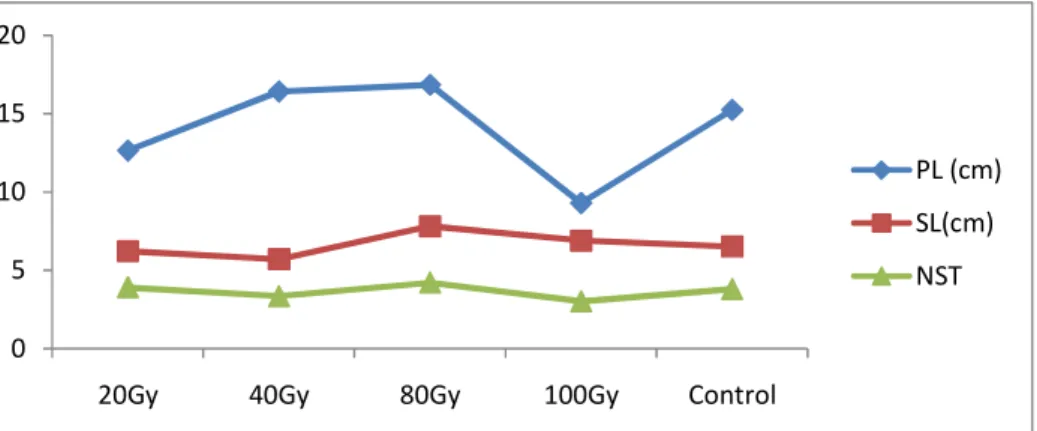 Fig 2:  Showing mean Peduncle length (PL), Spike length (SL) and Number of spike/tiller of  Digitaria  exilis treated  with different doses of gamma radiation 