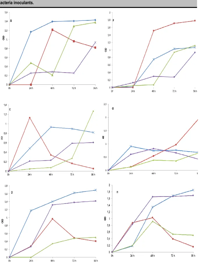 Figure 1: Growth of LNB strains in various culture media.  A: mannitol, B: sucrose, C: glycerol and D: cow milk for VUID1 strain  and E: mannitol, F:  sucrose, G:  glycerol,  H: cow milk  for  AHYP21 strain, OD: optical density