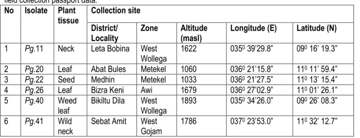 Table 1: Pyricularia grisea isolates selected for the morphological and biochemical studies in laboratory and  field collection passport data