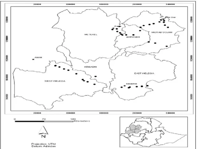 Figure 1: Finger millet blast disease survey sites in West and North West Ethiopia. Dark points and dark star indicate  collection sites and major towns in the regions