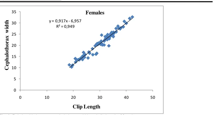 Fig. 6: Relationship between cephalothorax width and clip length of females  Some  aspects  of  reproductive  biology:  Almost  all 