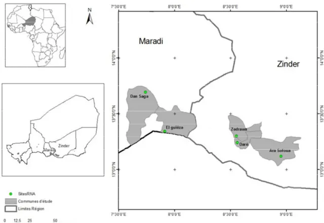 Figure 1 : Carte de localisation des sites d’études dans les régions de Maradi et Zinder dans le centre-sud  Niger,  