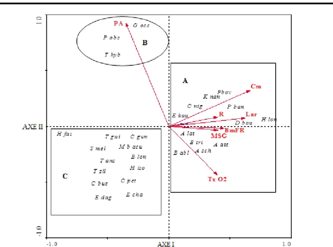 Figure 5 : Analyse canonique de correspondance (ACC) appliquée aux variables environnementales et aux espèces de  poissons capturées dans la rivière Dodo