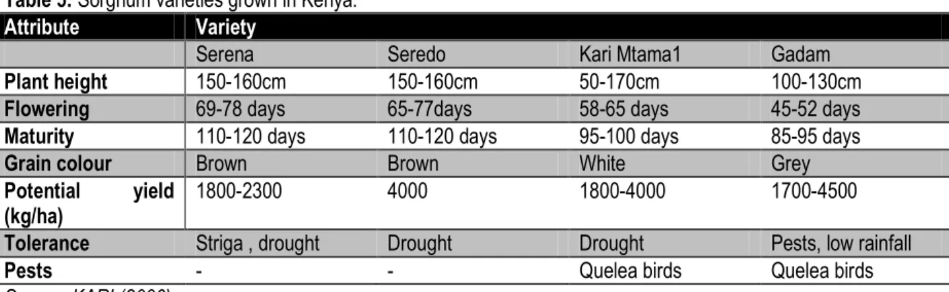 Table 5: Sorghum varieties grown in Kenya. 