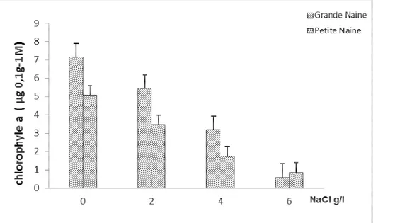 Figure 4 : Variation de la teneur en pigment chlorophyllien b en fonction de la concentration en NaCL (g/l) chez les deux  variétés de bananier 