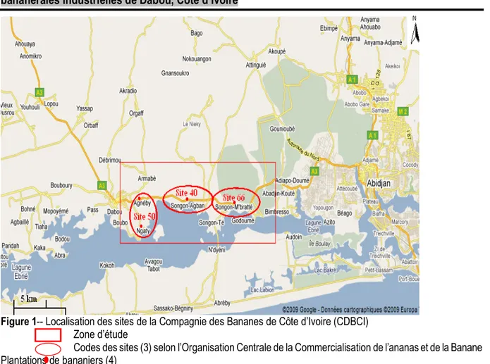 Figure 1-- Localisation des sites de la Compagnie des Bananes de Côte d’Ivoire (CDBCI)               Zone d’étude 