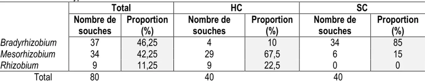 Tableau 2 : Nombre de souches isolées dans les nodules formés sur les racines de A. seyal et pourcentage des genres  rencontrés selon le type de sol 