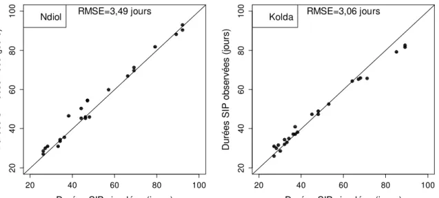 Figure 5 : Durées semis-initiation paniculaire (SIP) simulées avec le paramétrage ajusté à Ndiol et à Kolda en fonction  des durées semis-initiation paniculaire (SIP) observées correspondantes 