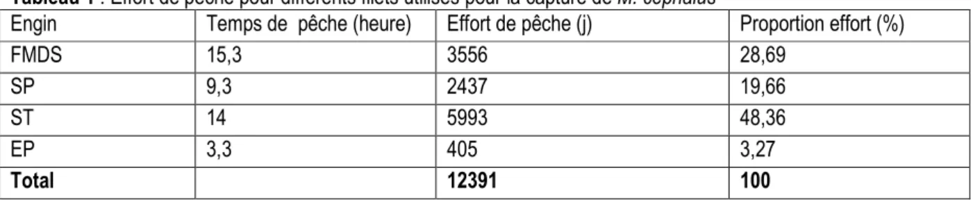 Tableau 1 : Effort de pêche pour différents filets utilisés pour la capture de M. cephalus  