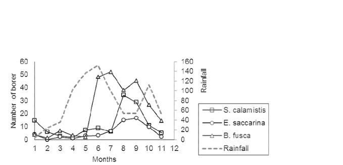 Figure 5: Stem borers dynamics on maize in Yoto district during different seasons of 2012  Farmers’  perception  on  climate  change  and  maize 