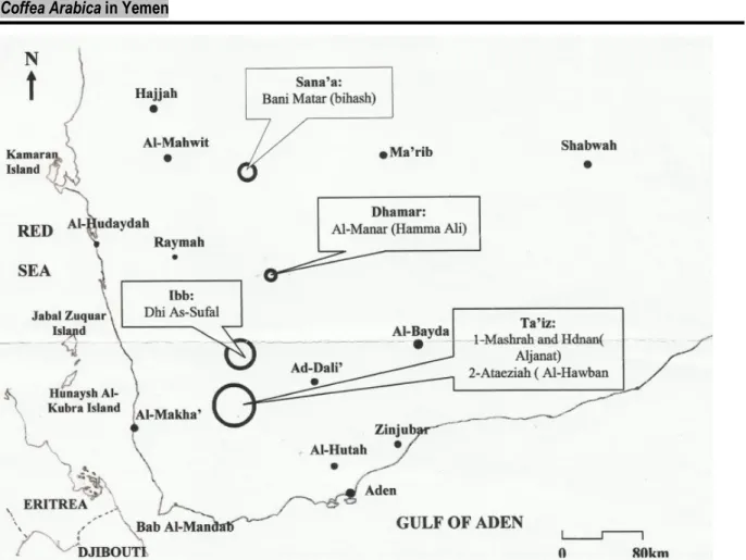 Figure 1: Geographical locality map of the sampling sites in Yemen  Soil and root sampling: Soil samples were taken from 