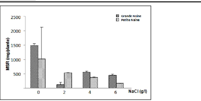 Figure 1.b  : Effet du NaCl sur la production de matière sèche racinaire MSR  