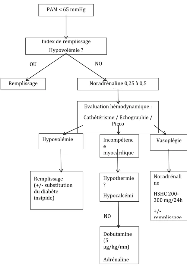 Figure 2 : Algorithme de prise en charge hémodynamique du patient en EME (d’après [51] ) 
