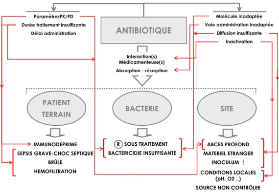 Figure 2. Causes d’échecs d’une antibiothérapie. 