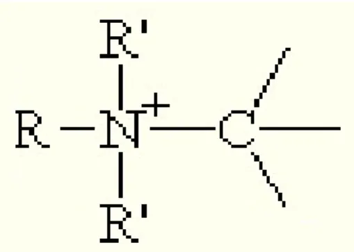 Figure 2 : Structure d’un ion ammonium quaternaire 