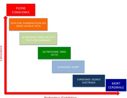 Figure 1 : aspect des modifications de l’EEG au cours l’approfondissement de l’AG 