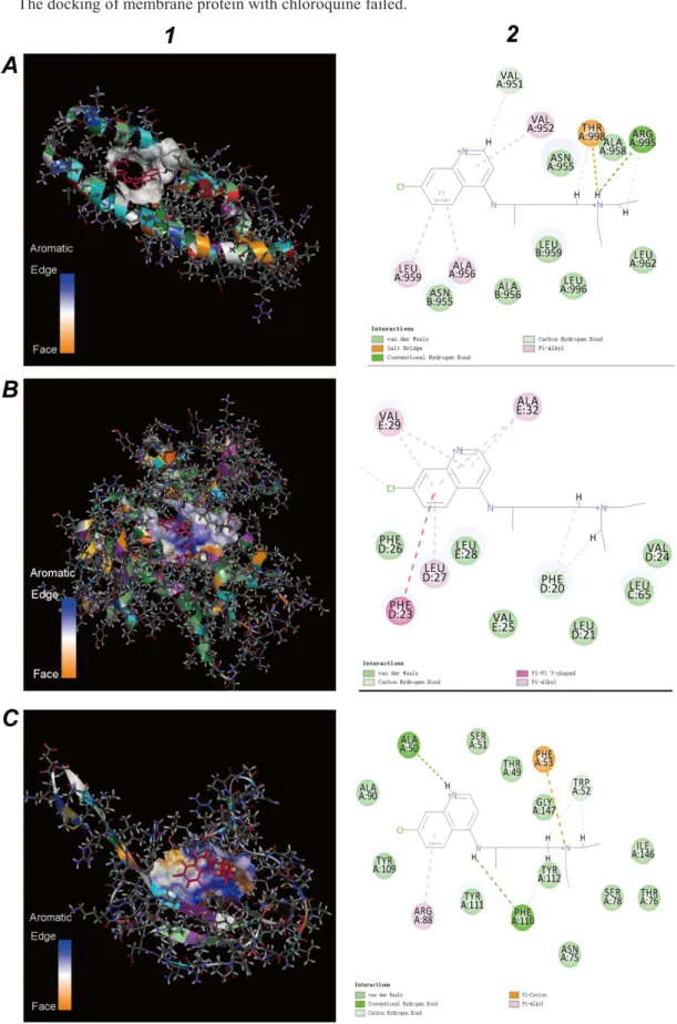 Figure 11. Molecular docking results of viral structure proteins and the chloroquine (red)