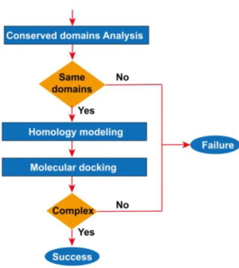 Figure 1. Flow view of Bioinformatics Analysis