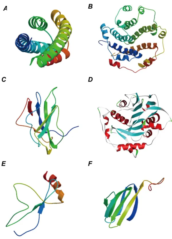 Figure 3.3D structure schematics of the novel coronavirus proteins by the homology modeling
