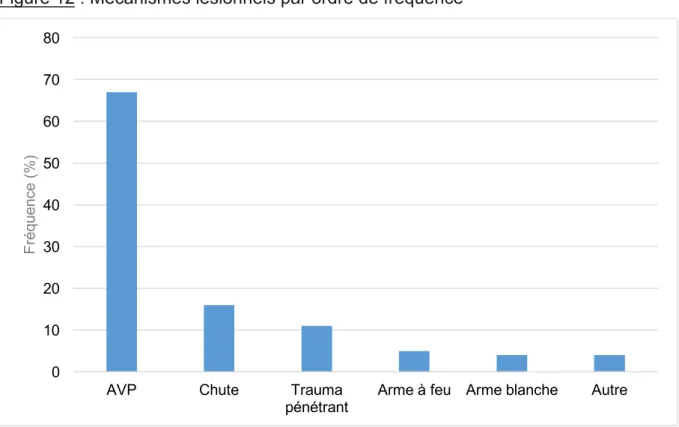Figure 12 : Mécanismes lésionnels par ordre de fréquence 