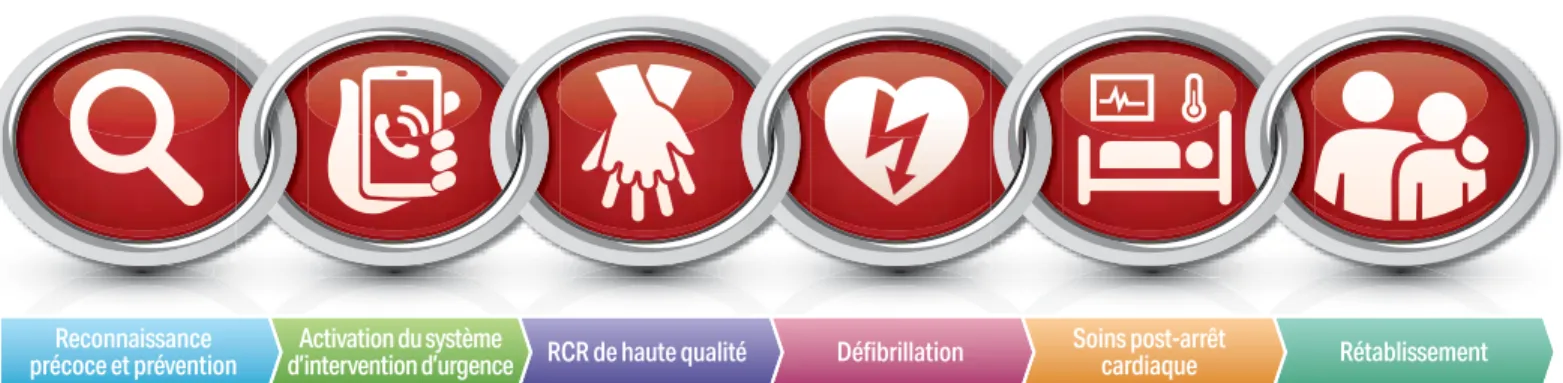 Figure 3. Chaînes de survie de l’ACIH et de l’ACEH chez l’adulte de l’AHA. ACIH ACEH RCR de haute qualité Soins post-arrêt  Soins post-arrêt cardiaqueActivation du système Activation du système 