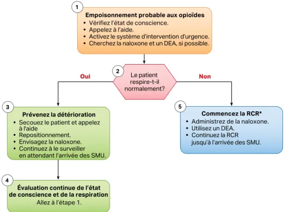 Figure 5. Algorithme de l’urgence associée à une prise d’opioïdes à l'intention des secouristes non professionnels.