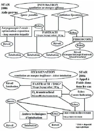 Figure 3. Algorithmes de l’intubation et l’oxygénation