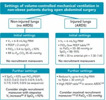 Fig. 7.  Proposed settings of protective mechanical ventilation 