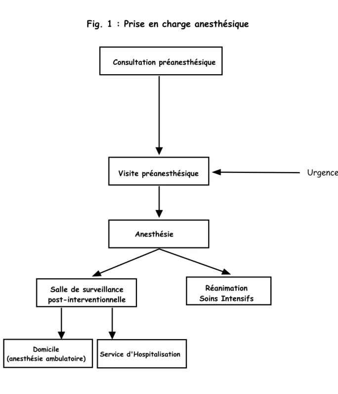 Fig. 1 : Prise en charge anesthésique 