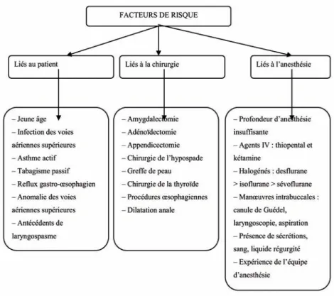 Figure 1.  Principaux facteurs de risque du laryngospasme.