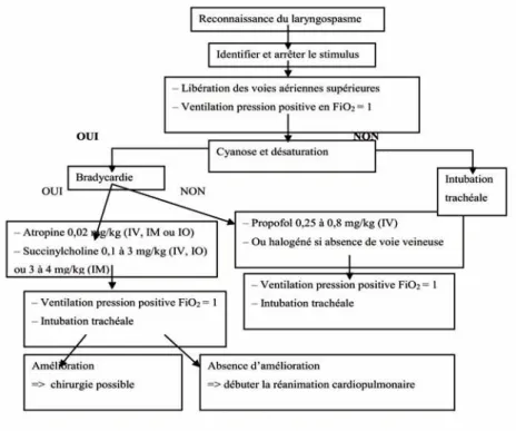 Figure 3.  Algorithme de prise en charge du laryngospasme.