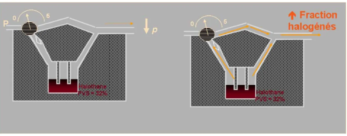 Figure 11 : effet de pompage 