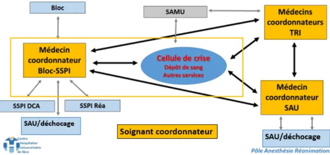 Figure 2.-  Coordinations mises en place entre les différents services. 
