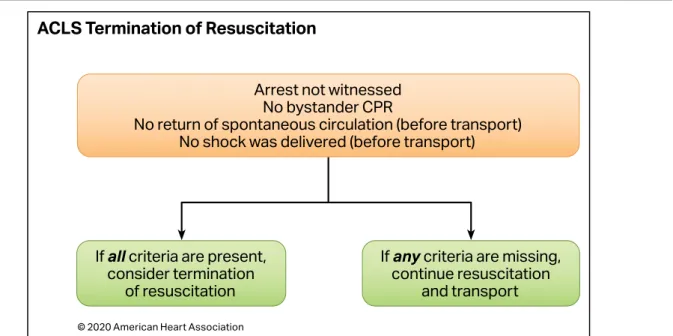 Figure 6.  Adult advanced life support termination of resuscitation rule. 2