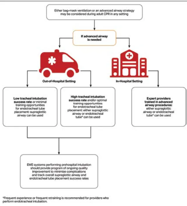 Figure 7.  Schematic representation of ALS recommendations for use of advanced airways during CPR