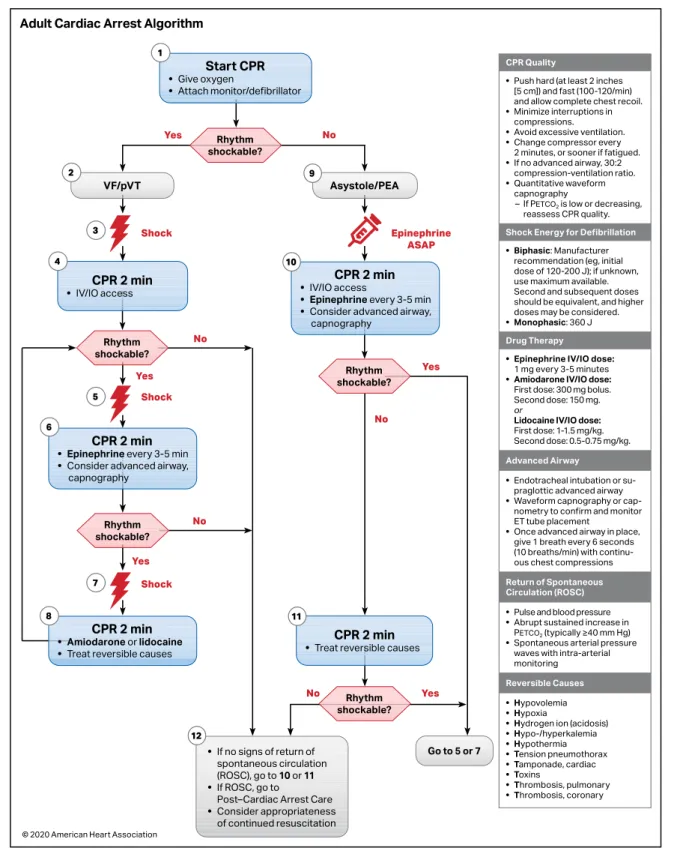 Figure 3.  Adult Cardiac Arrest Algorithm.