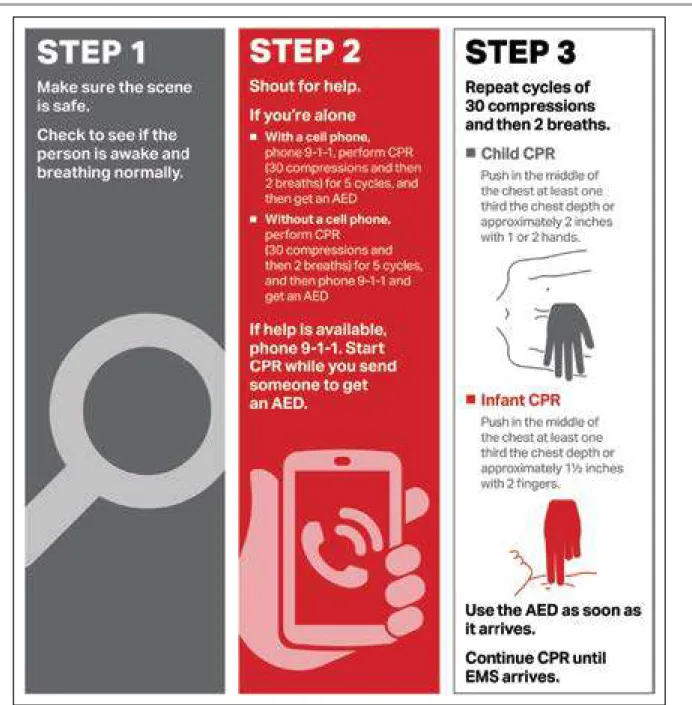 Figure 4.  Pediatric BLS for lay rescuers.