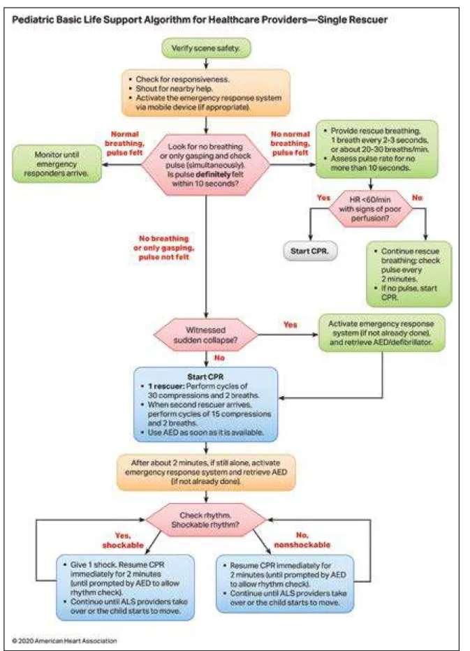 Figure 5.  Pediatric Basic Life Support Algorithm for Healthcare Providers—Single Rescuer.