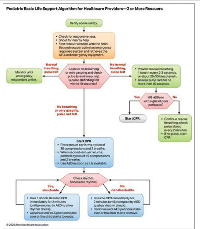 Figure 6.  Pediatric Basic Life Support Algorithm for Healthcare Providers—2 or More Rescuers.