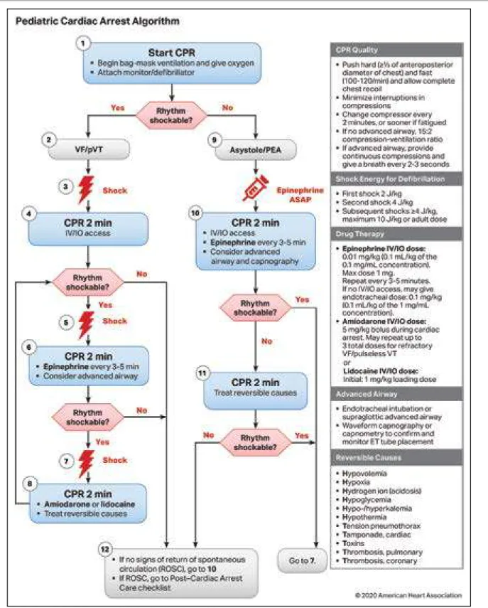 Figure 7.  Pediatric Cardiac Arrest Algorithm.
